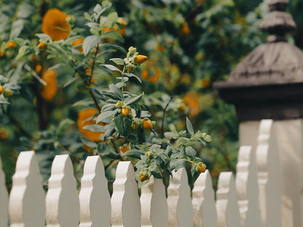 Silver Waters, Whitefield Past Projects